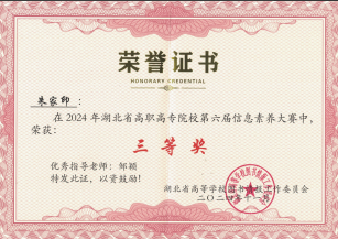材料十：2024年指导学生参加湖北省高职高专院校第六届信息素养大赛获三等奖