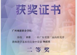 2024年全省美育技能大赛二等奖